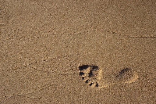 Footprint in the sand