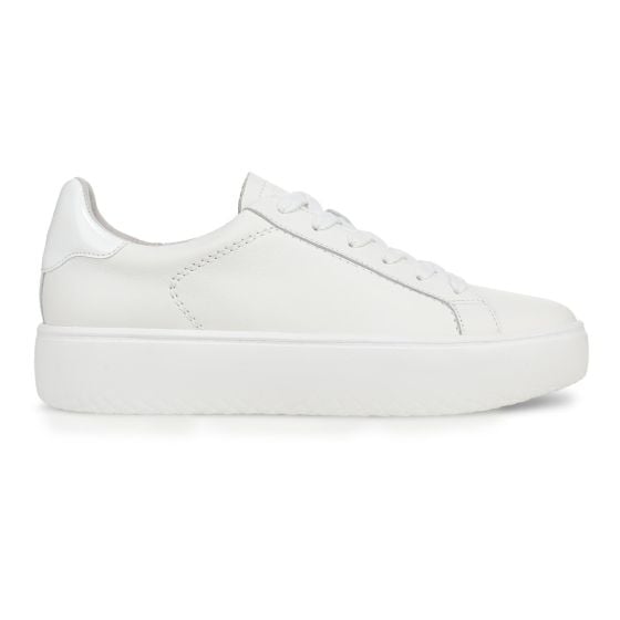 White Leather