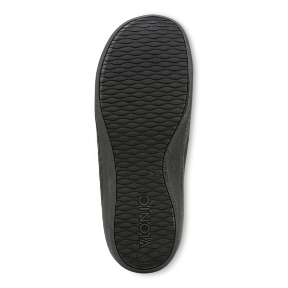 Black-Sole