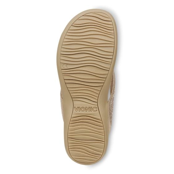Champagne-Sole